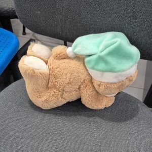 Cozy Tan Teddy Bear with Mint Green Hat